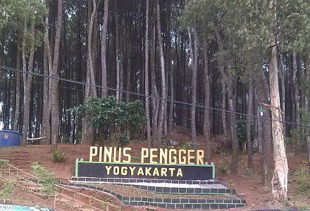 WISATA HUTAN PINUS PENGGER